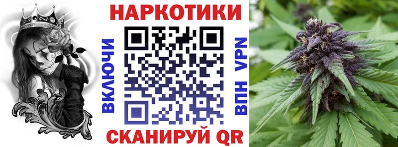 Где купить наркотики Северобайкальск Псилоцибиновые грибы APVP Меф ГАШ