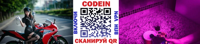 kraken как зайти  наркошоп  Северобайкальск  Кодеиновый сироп Lean Purple Drank 