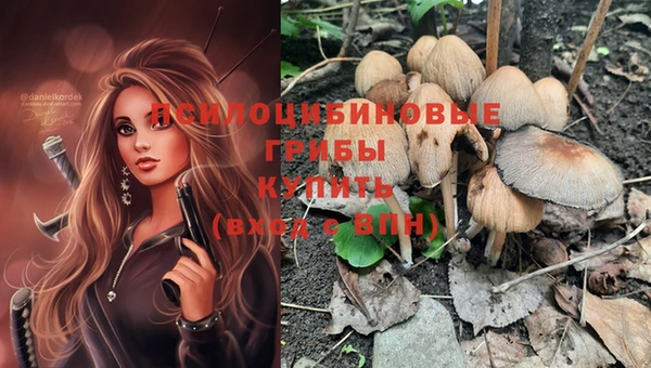 прущие крисы Балабаново